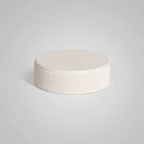 Шайба для тренировки вратаря